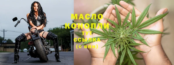 МДПВ Нея