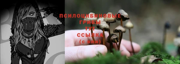 хмурый Нефтекумск