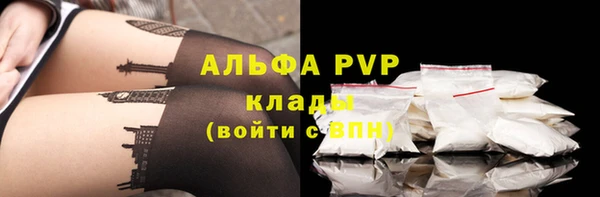 хмурый Нефтекумск