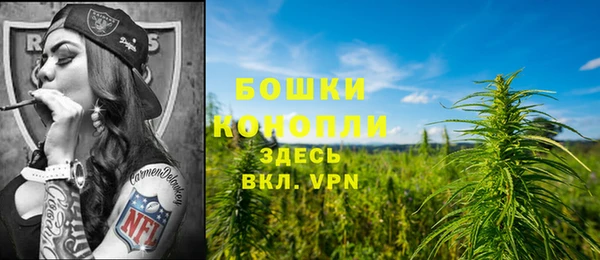 хмурый Нефтекумск