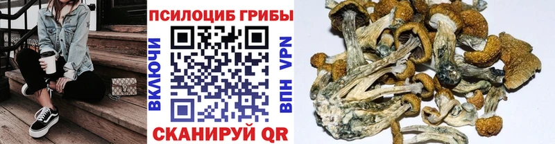 Псилоцибиновые грибы MAGIC MUSHROOMS  купить наркотики сайты  ОМГ ОМГ онион  Юрьевец 